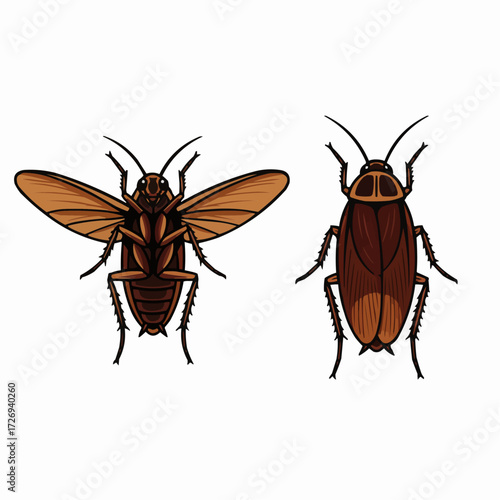 Two Cockroaches Pest Control Illustration Isolated on White Background