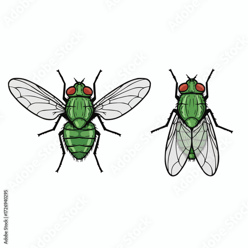 Two Green Flies Insect Pests Detailed Vector Illustration on White Background