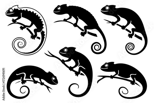 Chameleon vector silhouette set illustration exotic reptile lizard animal graphic design fauna wildlife nature 100