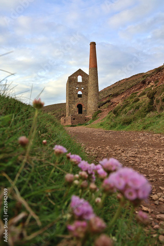 Towanroath Shaft Engine House, Wheal Coates; Cornwall historic Cornish tin mine site with spring wildflowers in foreground; UNESCO World Heritage Cornish Mining Landscape