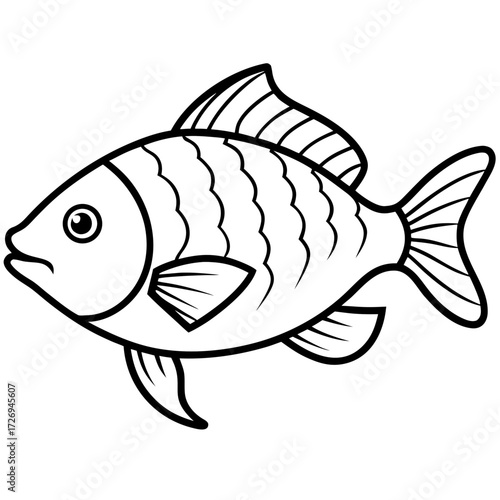 Tilapia line art vector