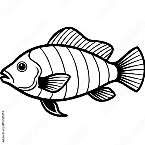 Tilapia line art vector