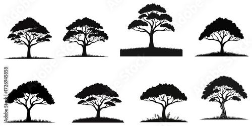 Tree black silhouettes set. Vector illustration. 