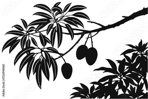 Silhouette of mango tree branch with leaves and fruits hanging down in a detailed black and white design