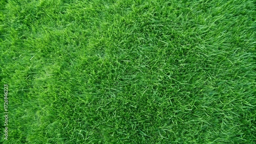 Wallpaper Mural green grass background Torontodigital.ca