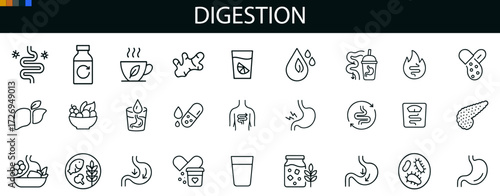 Digestion Icon Set for Gut Health, Nutrition Education, and Wellness UI Design