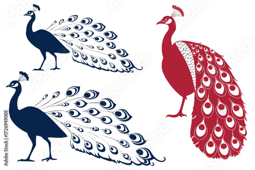 Illustration featuring two navy peacocks and one red peacock with elaborate tail feather designs against white silhouette