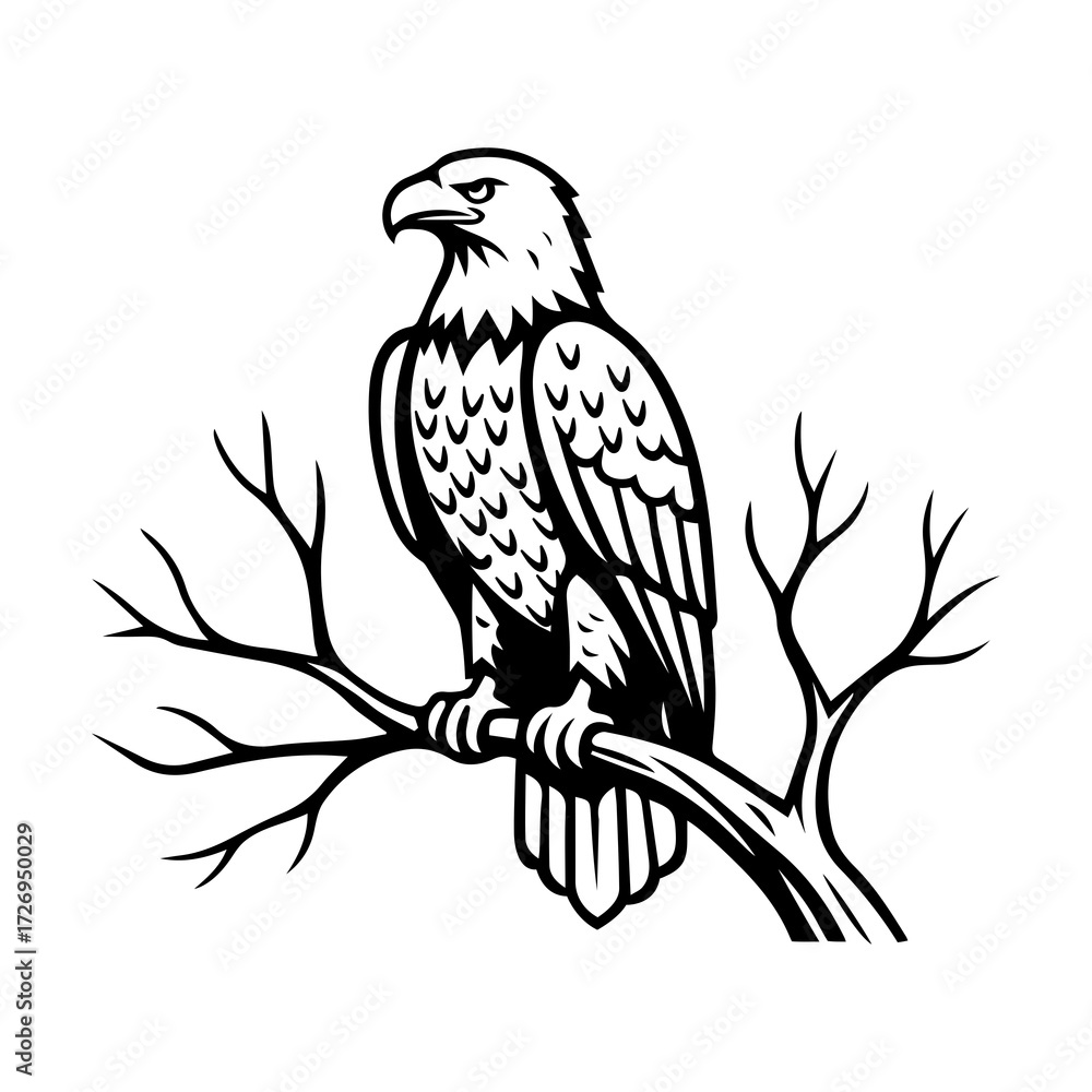 Fototapeta premium eagle bird on branch