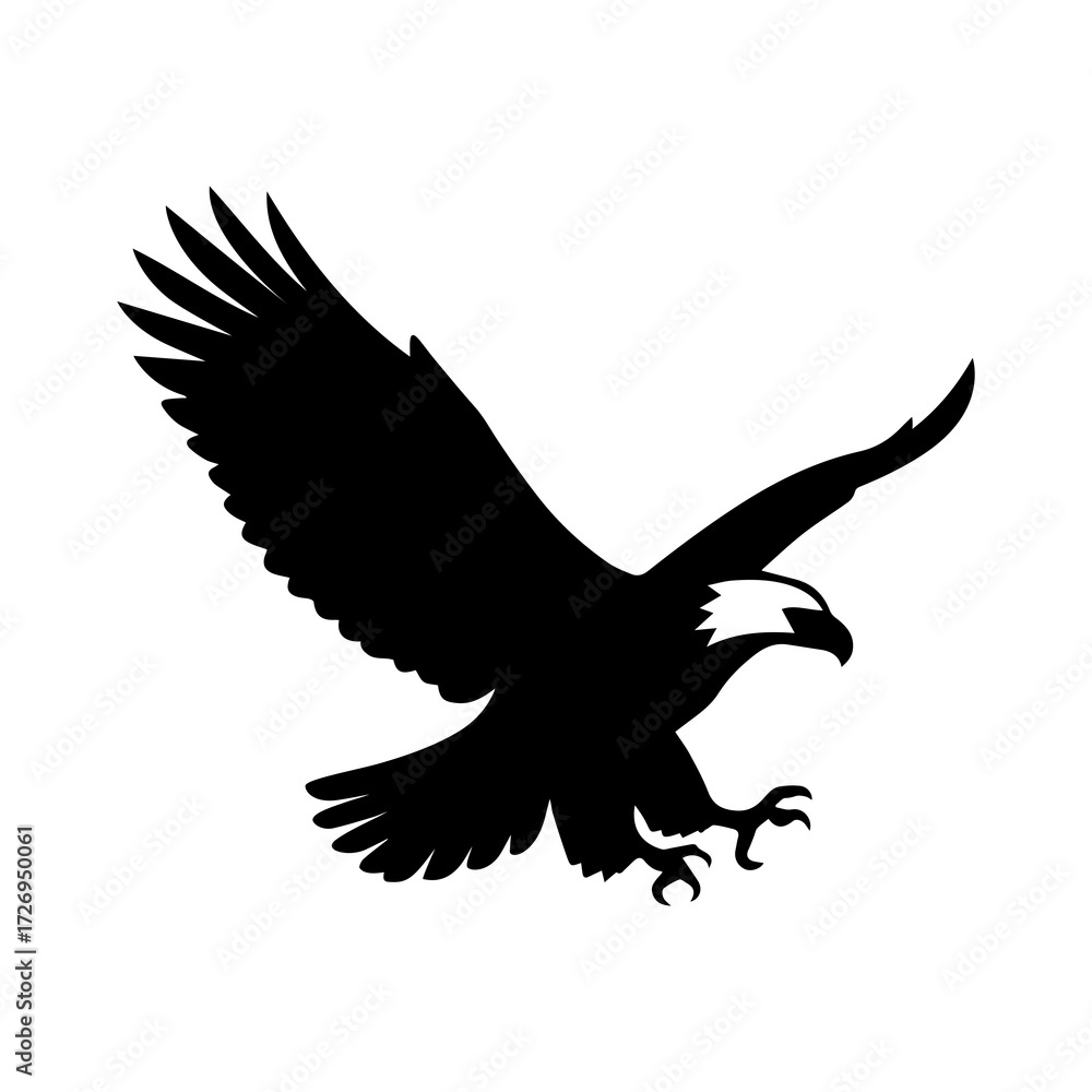 Fototapeta premium eagle in flight