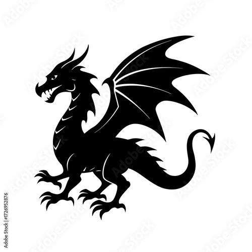 black dragon on white