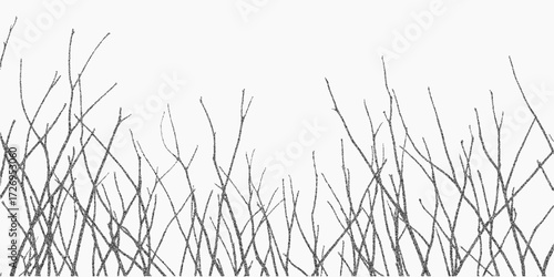 Background with thin branches. Textured shape with dotwork pattern, ink splatter and grain overlay. Faint threshold edge and dust scratches.