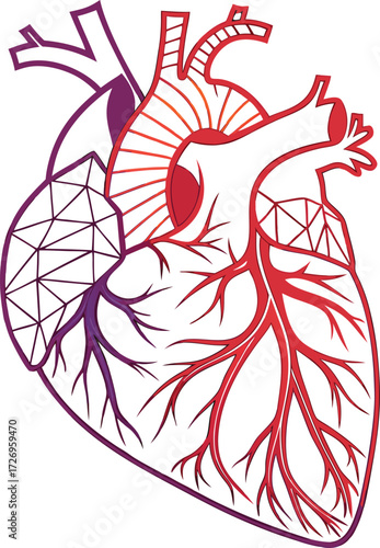 Anatomical heart with vibrant gradient design for medical illustration needs, perfect for healthcare, cardiology, and educational materials with modern aesthetic