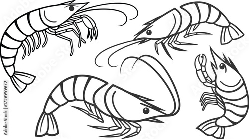 Elegant vector art of succulent shrimp, perfect for seafood menus, restaurant promotions, or culinary designs. Simple, clean line art for modern branding.