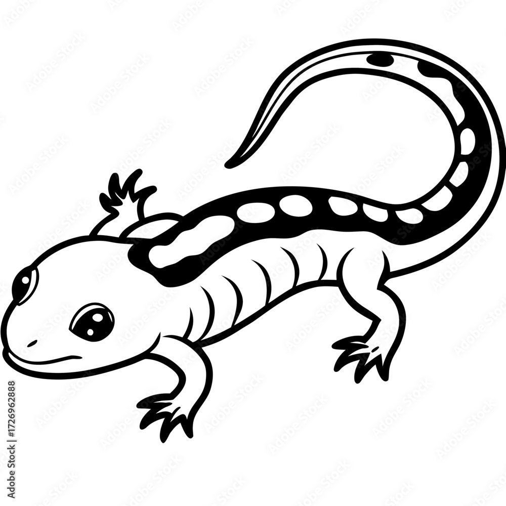 Fototapeta premium Salamander line art vector