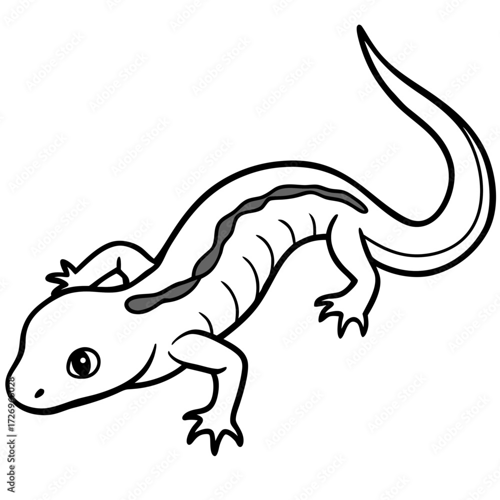 Obraz premium Salamander line art vector