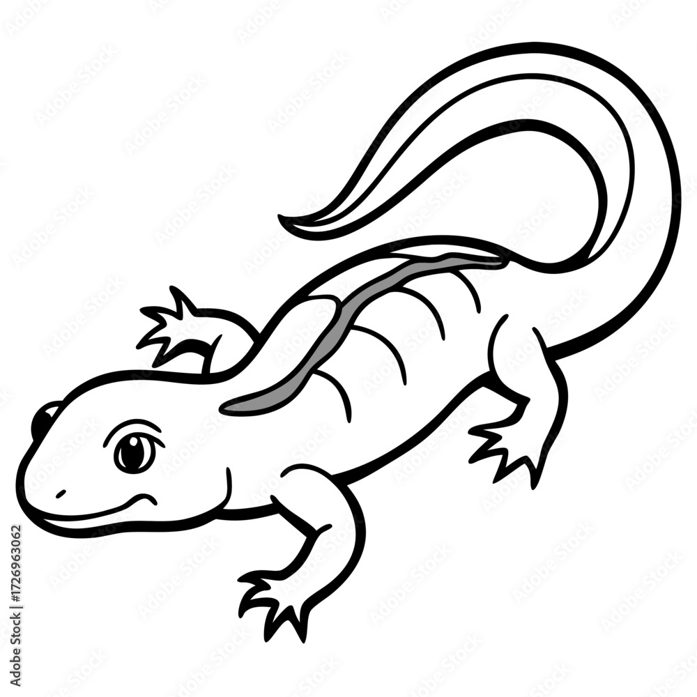 Fototapeta premium Salamander line art vector