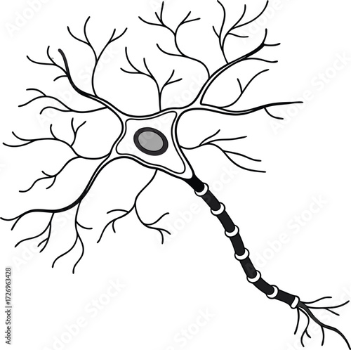 Intricate neuron structure with branching dendrites and axon, symbolizing thought, connection, and neuroscience discovery