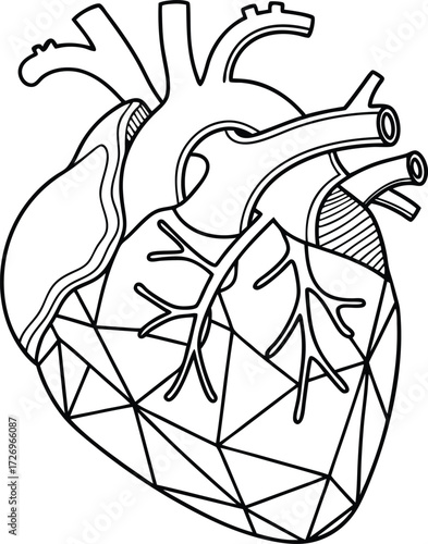 Striking geometric anatomical heart illustration symbolizing life, love, and modern cardiology innovation for impactful medical and design projects.