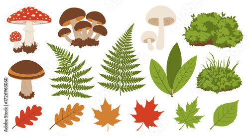 Mushrooms, Leaves, and Ferns in a Vibrant Forest Scene
