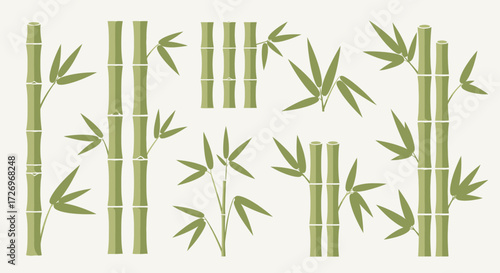 Bamboo Patterns, Green Plants, Natural Environment, Vector Illustration, Calm Spaces, Artistic View, Tranquil Concept
