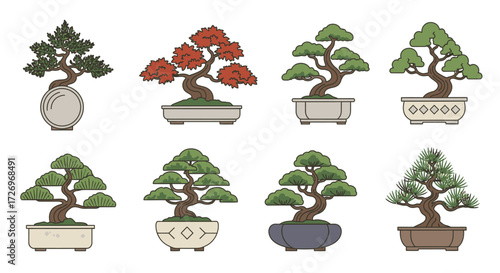 Bonsai Collection, Botanical Art, Tranquil Studio, Illustration, Calm Environment, Aesthetic Viewpoint, Nature Inspiration