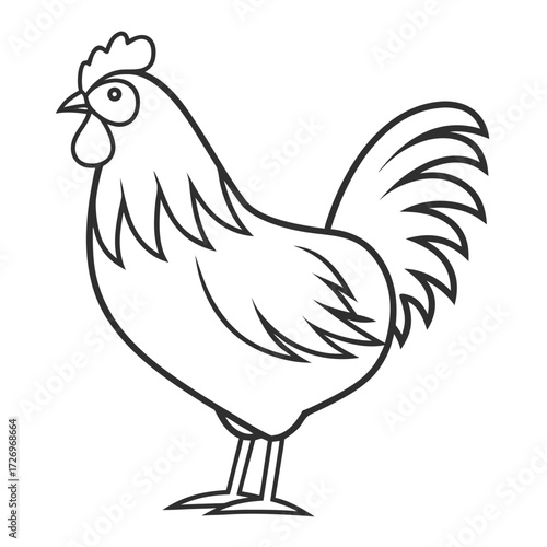 Cartoon farm rooster and hen fowl illustration isolated on white background