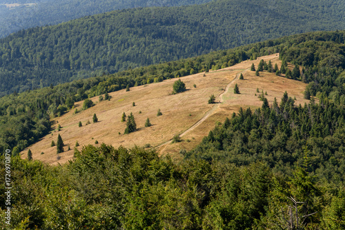 Fototapeta Naklejka Na Ścianę i Meble -  A view of Polana Stumorgowa from Mogielica mountain, Beskid Wyspowy, Poland