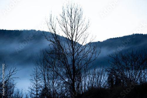 strange nature