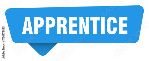 apprentice sticker. apprentice blue sign isolated on transpatent background