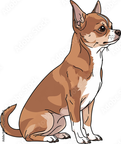 Chihuahua dog sitting sideways side profile vector illustration