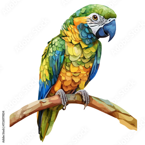 Amazon Parrot, watercolor painting vector, isolated on a white background.