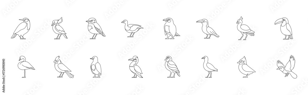 Fototapeta premium Various birds line vector set