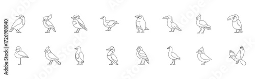 Various birds line vector set