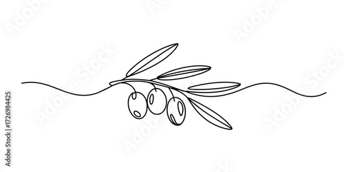 Olive Branch Continuous Line Drawing Minimal Botanical Vector Illustration