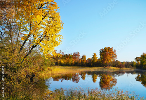 autumn trees on the lakeshore, Minnesota Waters Edge