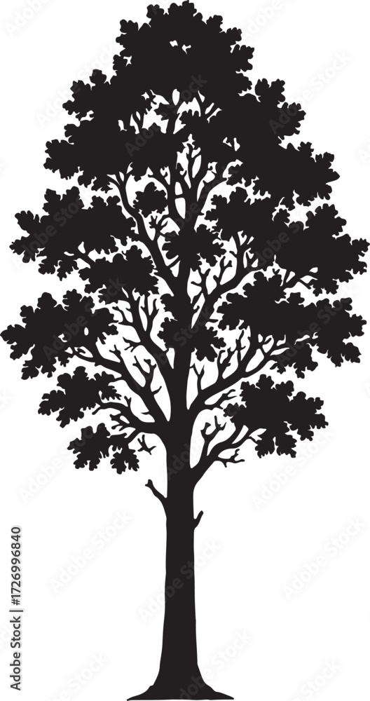 Obraz premium tree vector silhouette