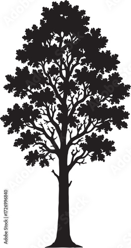 tree vector silhouette