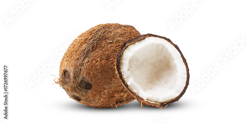 Coconut 