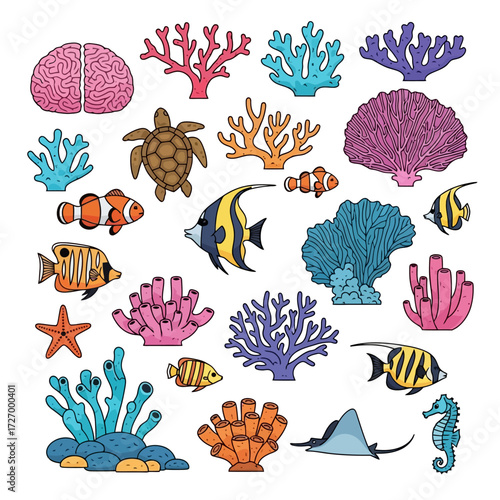 Vibrant Coral Reef Life and Aquatic Ecosystem Illustrations