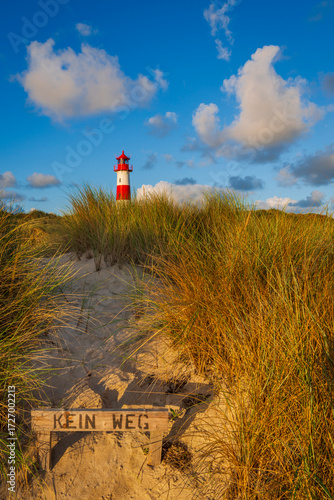 Der Lister Leuchtturm im Morgenlicht am Ellenbogen auf der Insel Sylt, Deutschland