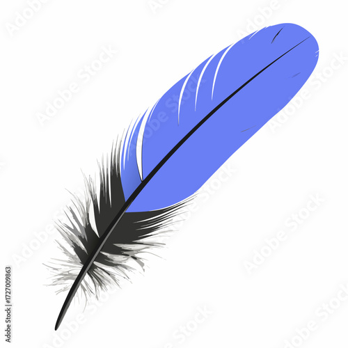 feather isolated on white background, Eps file. 