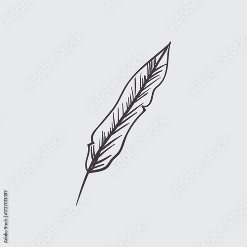 Hand-drawn sketch of a single, elegant feather with fine line details on a light gray background, depicting a classic quill style.