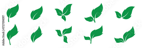 Green isolated leaf icon set on white page.  Vector isolated leaf icons on white background.  Nature leaf icon set on white page. EPS 10.  Green leaf icons set on white page. Vector icon set. 
