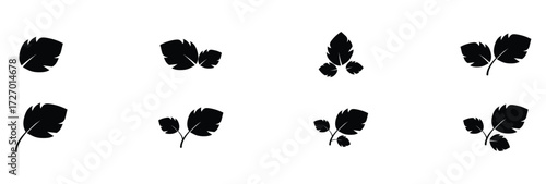 Black dark isolated leaf icon set on white page.  Vector isolated leaf icons on white background.  Nature black leaf icon set on white page. EPS 10. 