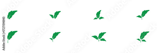 Green isolated leaf icon set on white page.  Vector isolated leaf icons on white background.  Nature leaf icon set on white page. EPS 10.  Green leaf icons set on white page. EPS 10. 
