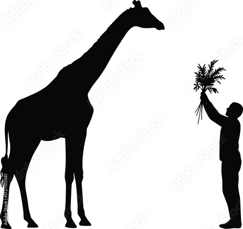 Giraffe and man silhouette vector illustration showing person feeding animal with leaves, wildlife interaction, zoo, safari, nature, conservation design