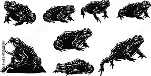 Toad silhouettes in different poses, including croaking and resting