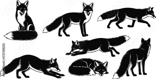 Collection of detailed fox illustrations in various poses