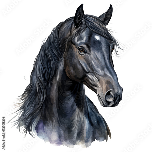 Obraz na plátně Andalusian In Black Color, watercolor vector, isolated on a white background