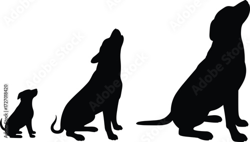 Dog silhouette sitting posture, puppy to adult growth stages, black vector dogs howling upward, pet development concept, flat vector illustration